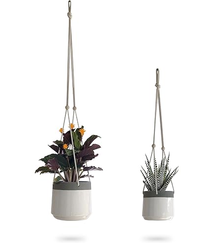 Amazon.com: Foreside Home and Garden Hanging Cylinder Pot
